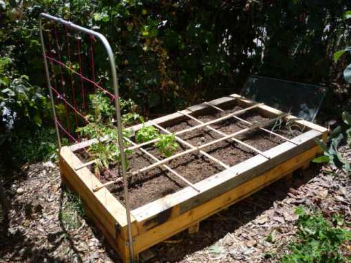 raised bed a la square-foot-gardening